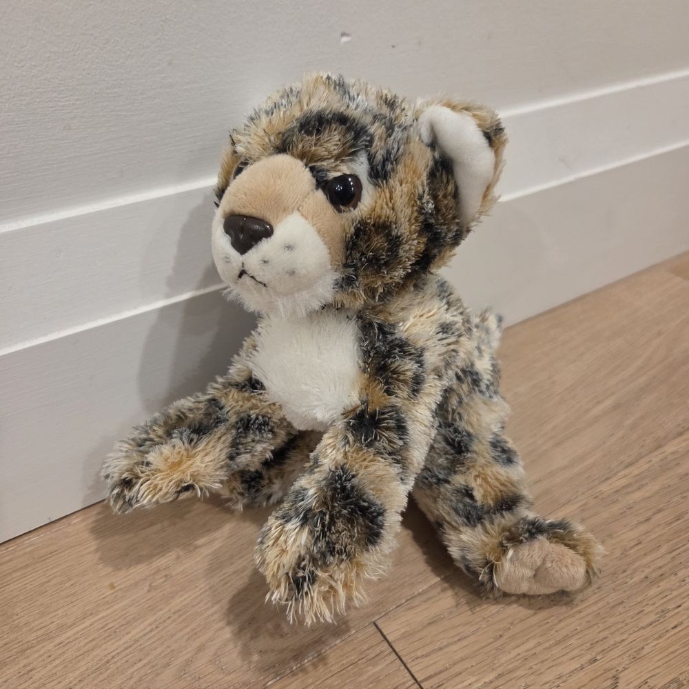 ADVENTURE PLANET | Leopard Cub